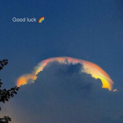 BSport·APP在线登录app下载